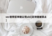 sec暂停区块链公司ubi[区块链被禁止]